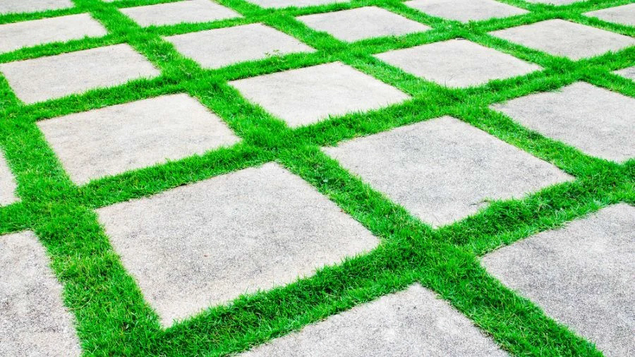 Sustainable Grass Paver Installation